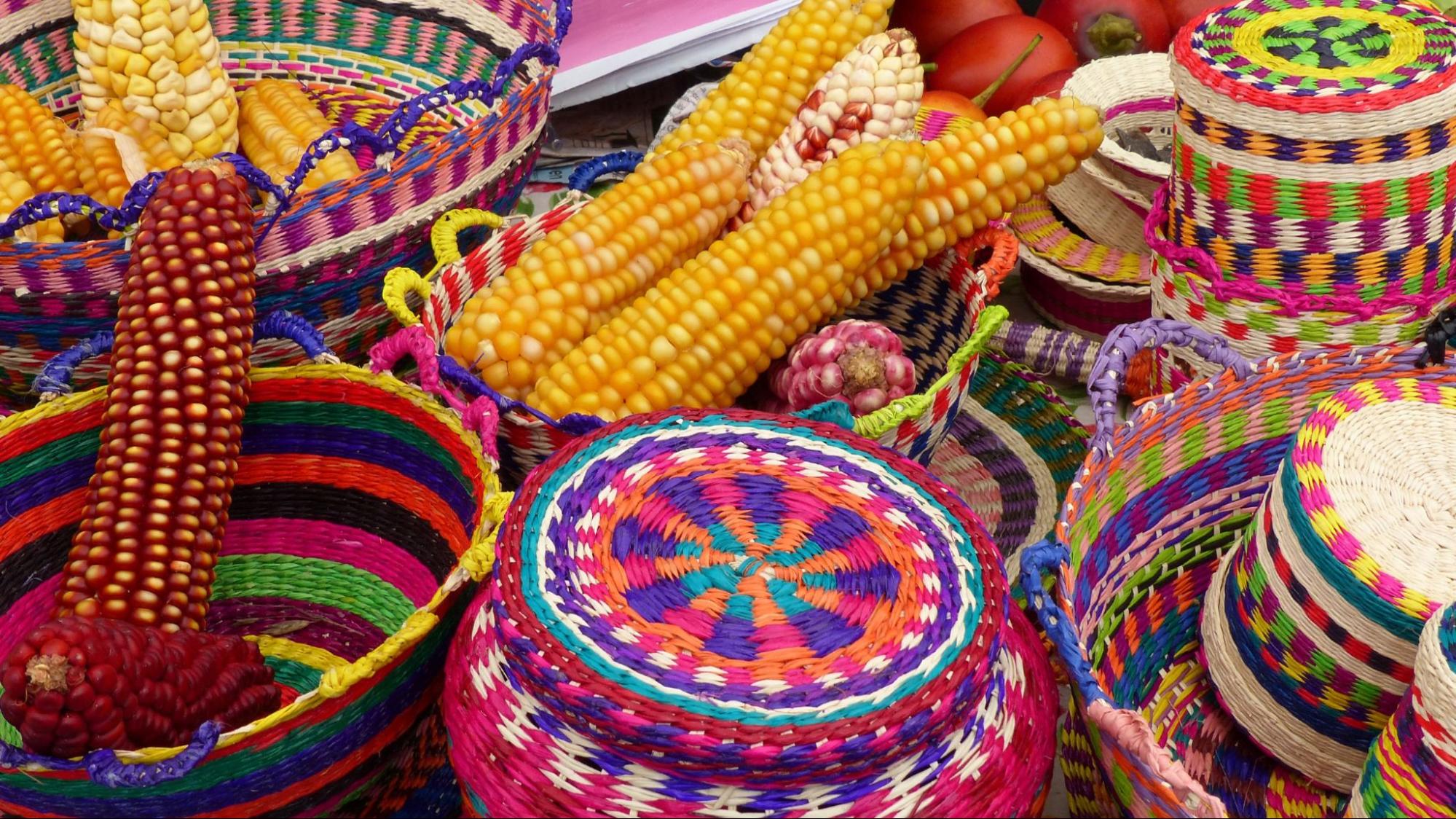 Colorful cubs of corn - Indian corn, and yellow corn - along with colorful wicker souvenirs baskets made from straw on display at indigenous seed festival in Cuenca, Ecuador